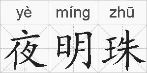 夜明珠的拼音