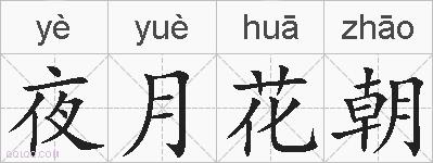 夜月花朝的拼音