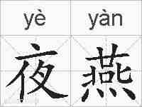 夜燕的拼音