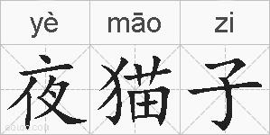 夜猫子的拼音