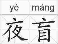夜盲的拼音