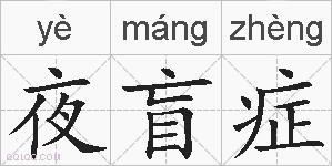 夜盲症的拼音