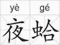 夜蛤的拼音