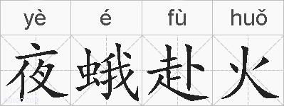 夜蛾赴火的拼音