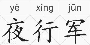 夜行军的拼音