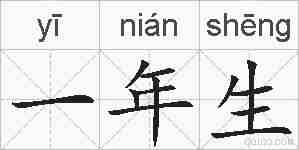 一年生的拼音