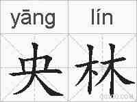 央林的拼音