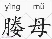 媵母的拼音