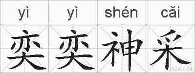 奕奕神采的拼音