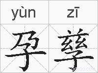 孕孳的拼音