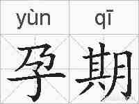 孕期的拼音