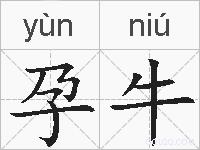 孕牛的拼音