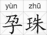 孕珠的拼音