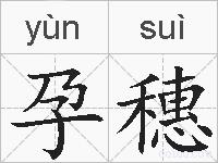孕穗的拼音