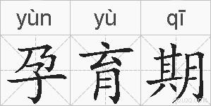 孕育期的拼音