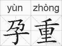 孕重的拼音