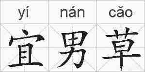 宜男草的拼音