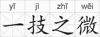 一技之微的拼音