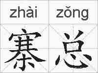 寨总的拼音