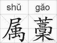 属藳的拼音