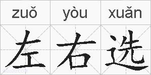 左右选的拼音