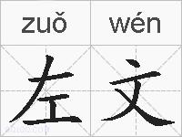 左文的拼音