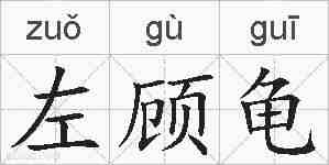 左顾龟的拼音