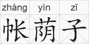 帐荫子的拼音