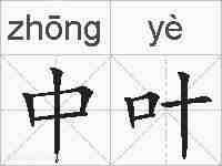 中叶的拼音