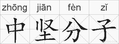 中坚分子的拼音