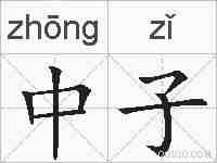中子的拼音