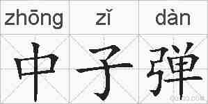 中子弹的拼音