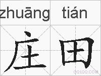 庄田的拼音