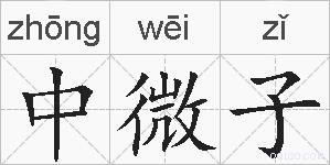 中微子的拼音