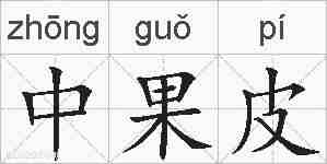 中果皮的拼音