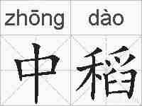 中稻的拼音
