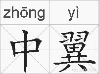 中翼的拼音