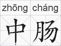 中肠的拼音