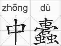 中蠹的拼音