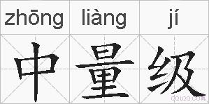 中量级的拼音