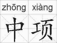 中项的拼音