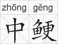 中鲠的拼音