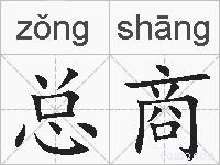 总商的拼音