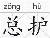 总护的拼音
