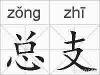 总支的拼音