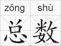 总数的拼音