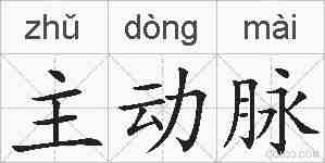 主动脉的拼音