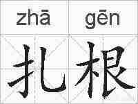 扎根的拼音