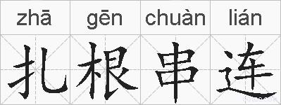 扎根串连的拼音