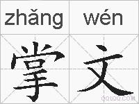 掌文的拼音